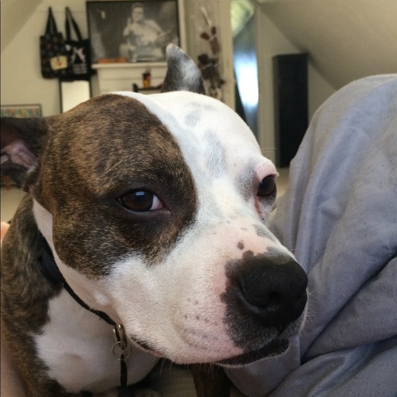 Meet your Posher, Tiffany - Picture 5 of 5